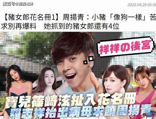 崽崽娱乐圈吃瓜小说,崽崽吃瓜小说揭秘幕后真相